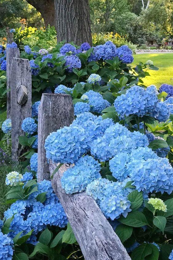 Eternal Enchantment: Timeless Blooms Medley